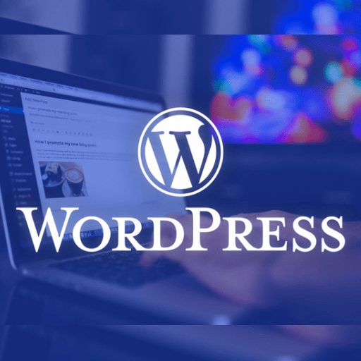 WordPress Themes